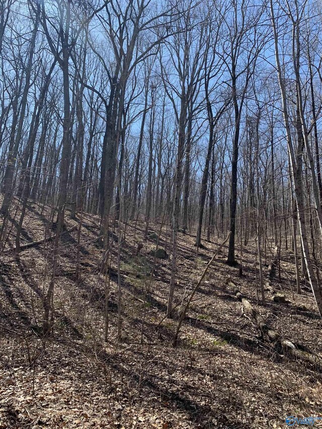 14/3ACRES Black Hawk, Gurley, AL 35748