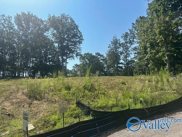 Listing photo 2 for LOT226 Woodmont Dr, Cherokee Ridge AL 35175