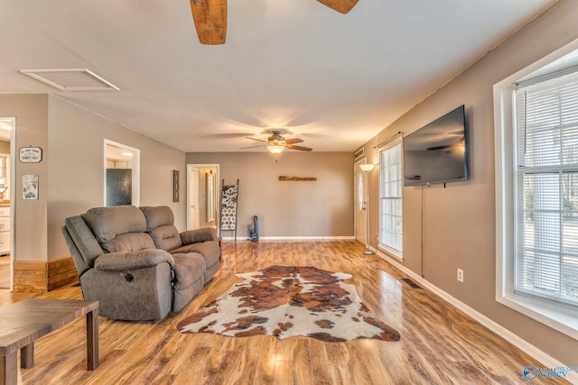 living area featuring light wood-style floors, attic access, baseboards, and a ceiling fan