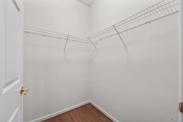 walk in closet with wood-type flooring