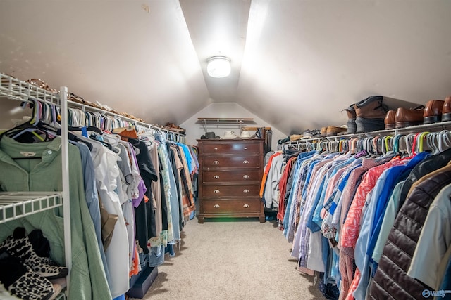 471 Oak Trl NE, Hartselle, AL 35640 - walk in closet with light carpet and vaulted ceiling