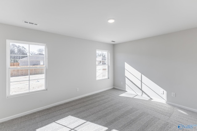 carpeted spare room featuring a wealth of natural light