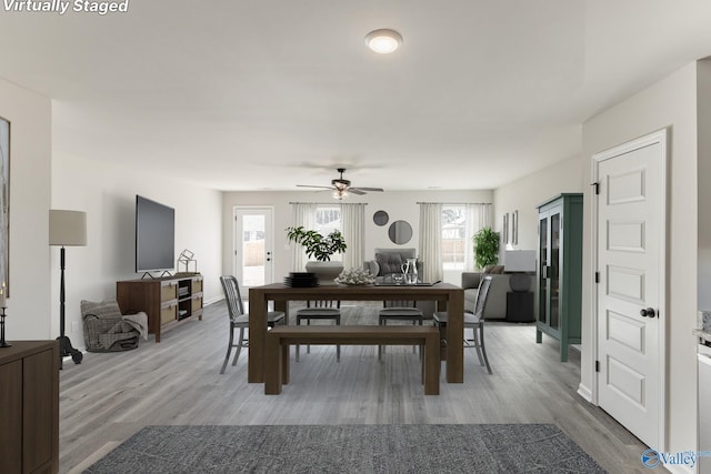 dining area with ceiling fan and light hardwood / wood-style floors