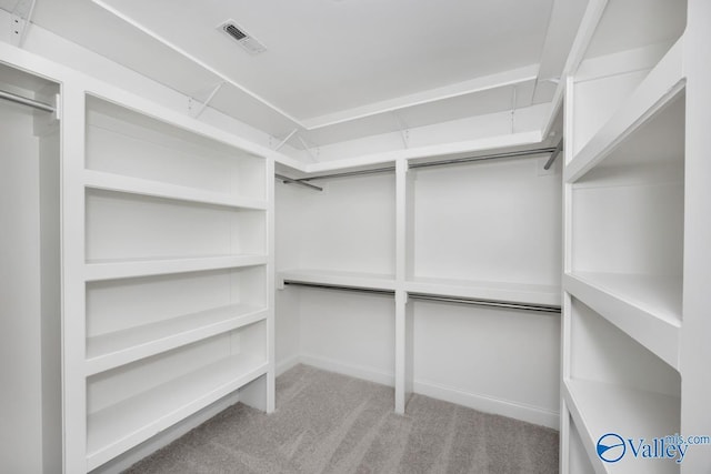 walk in closet with light carpet