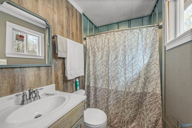 bathroom with vanity, walk in shower, and toilet