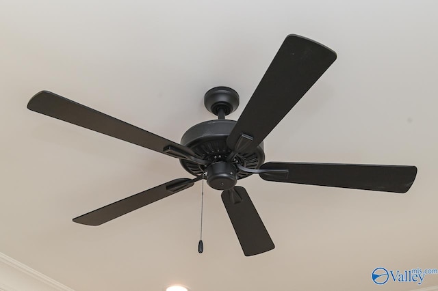 details with ceiling fan