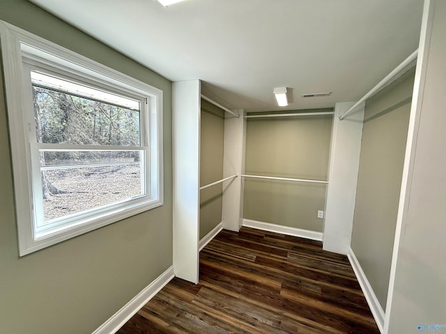 walk in closet with visible vents and dark wood-style flooring