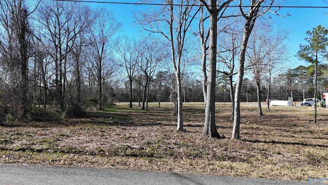 Listing photo 3 for 2/-ACRES Morrow Dr, Guntersville AL 35976