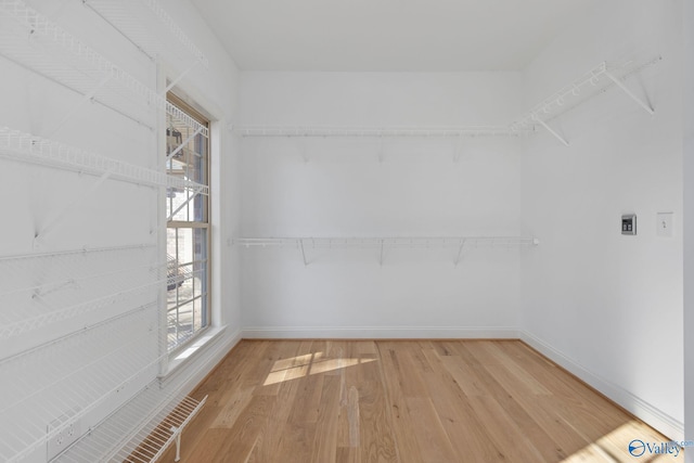 walk in closet featuring light wood finished floors