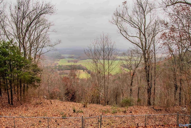 view of nature with a rural view