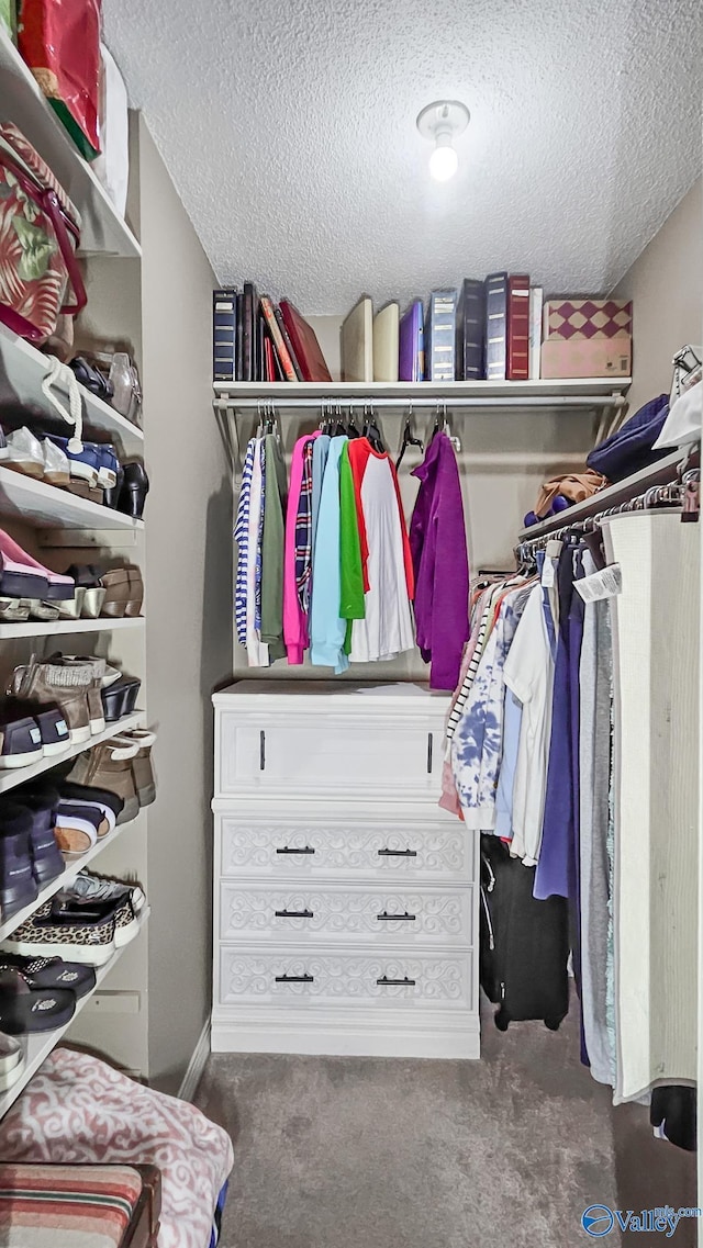 spacious closet featuring dark colored carpet