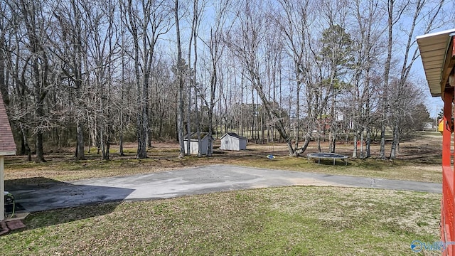 view of yard featuring an outbuilding, a shed, and a trampoline