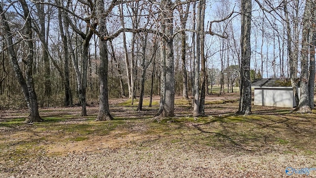 view of yard with an outdoor structure