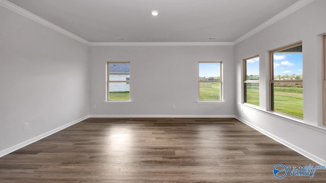 empty room featuring ornamental molding, wood finished floors, and plenty of natural light