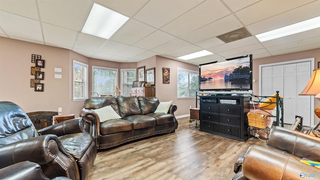 living room featuring hardwood / wood-style floors and a drop ceiling