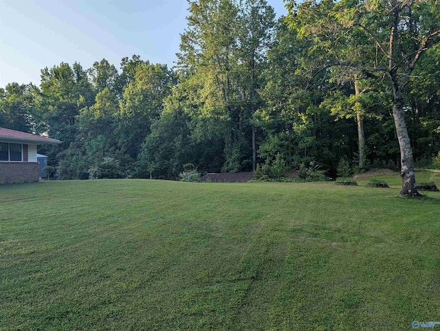1350 W US Highway 278 W, Cullman, AL 35057 - view of yard featuring a forest view