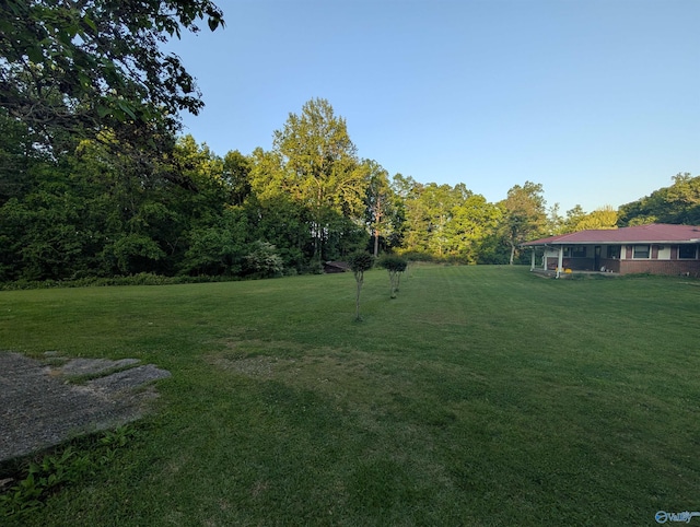 1350 W US Highway 278 W, Cullman, AL 35057 - view of yard