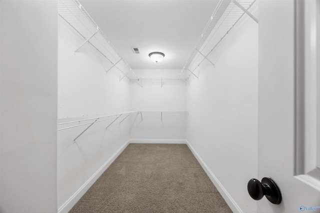 4513 Stone Park Cir, Owens Cross Roads, AL 35763 - walk in closet featuring carpet floors