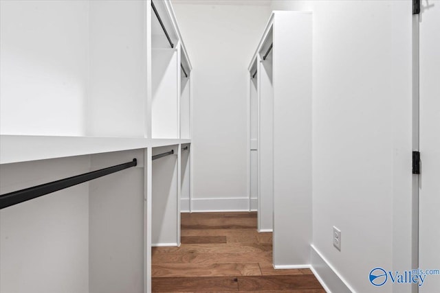 spacious closet featuring a barn door and dark hardwood / wood-style flooring