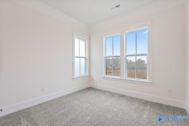 empty room with crown molding and carpet