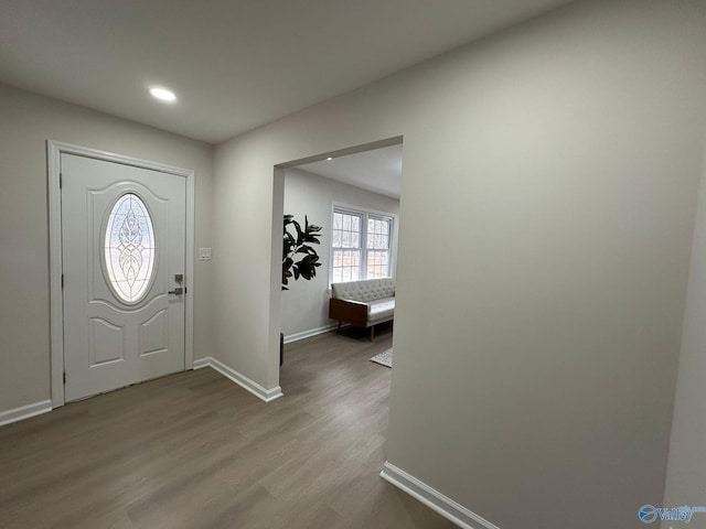 entryway featuring hardwood / wood-style floors