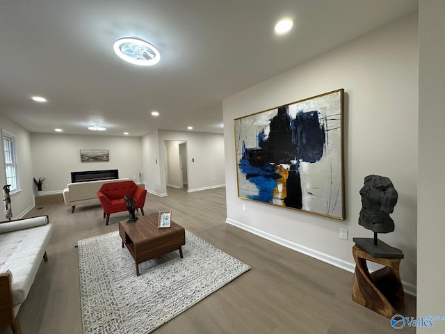 living room featuring wood-type flooring