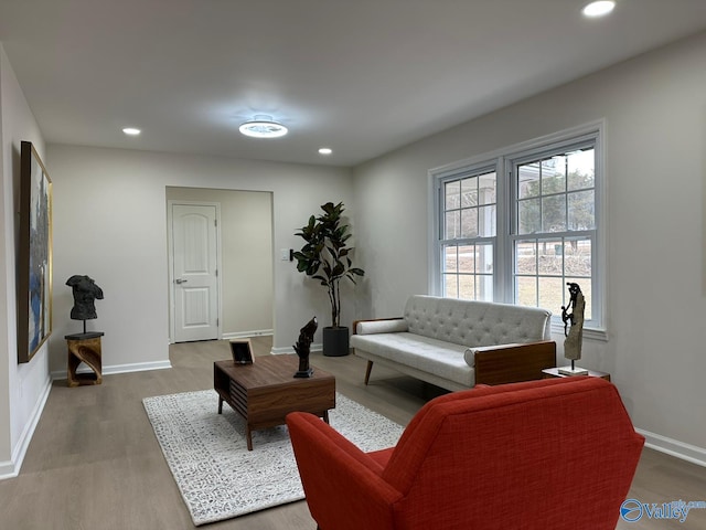 living room featuring hardwood / wood-style flooring