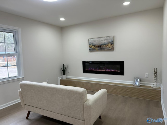 sitting room featuring wood-type flooring