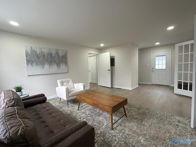 living room featuring hardwood / wood-style floors