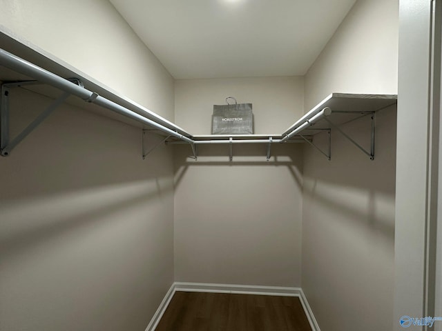 walk in closet with dark wood-type flooring