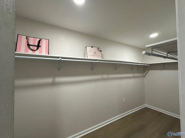 walk in closet with dark wood-type flooring