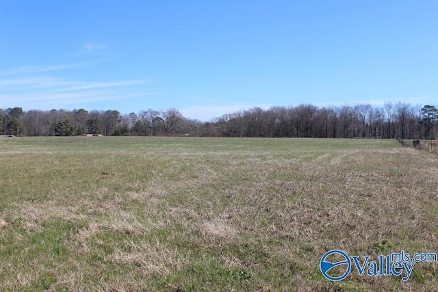 Listing photo 3 for 609 County Road 76, Fyffe AL 35971