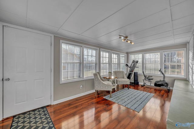 interior space featuring wood-type flooring and a wealth of natural light