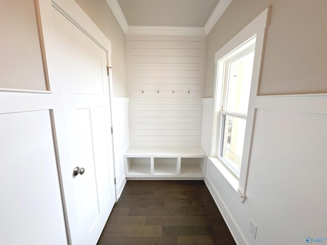 mudroom featuring dark wood finished floors and crown molding