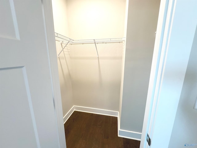 spacious closet featuring dark wood-type flooring