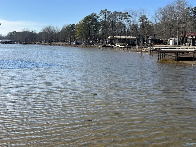 water view with a dock