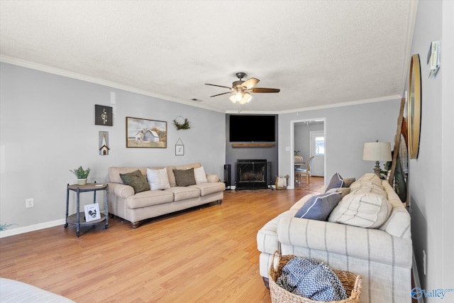 living room with ceiling fan, crown molding, wood-type flooring, and a textured ceiling