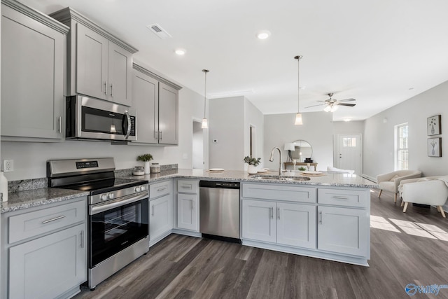 kitchen featuring appliances with stainless steel finishes, open floor plan, a peninsula, gray cabinetry, and a sink