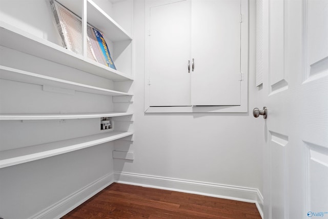 spacious closet with dark wood-type flooring