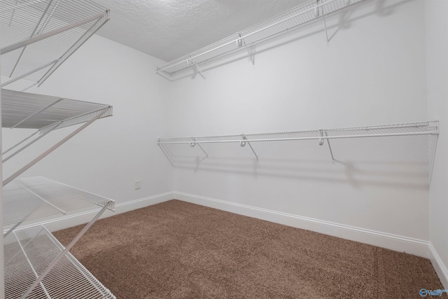 spacious closet with carpet flooring