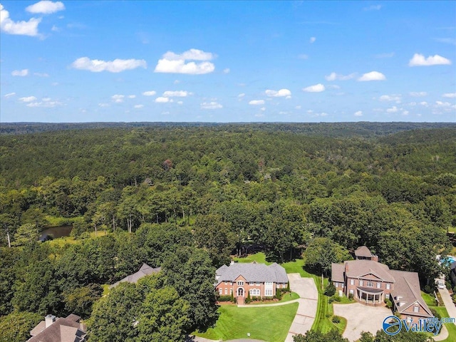 bird's eye view with a forest view