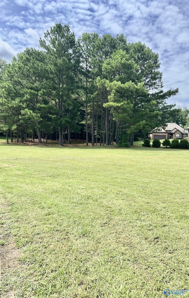 LOT13 Ashley Ln, Southside AL, 35907 land for sale