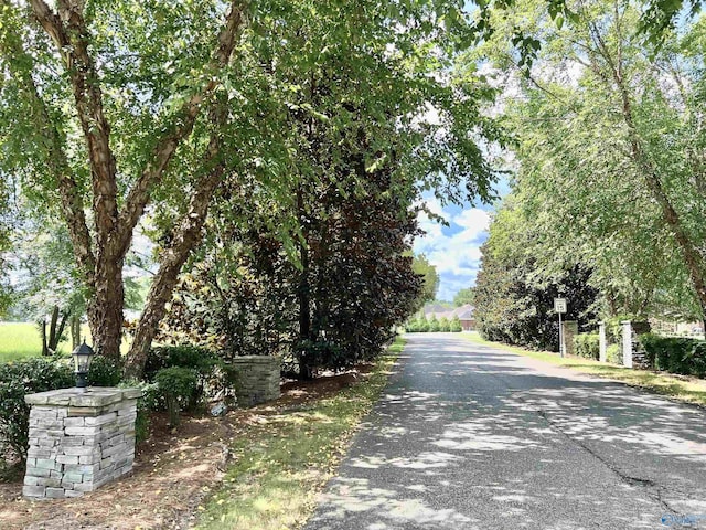 Listing photo 3 for LOT13 Ashley Ln, Southside AL 35907