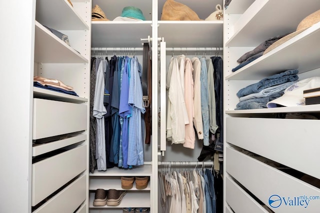 view of spacious closet