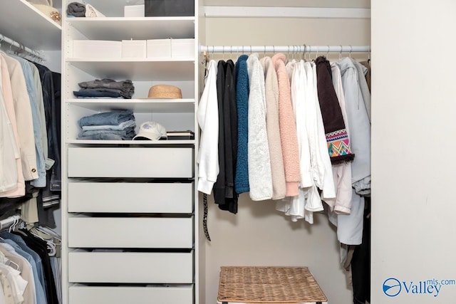 view of walk in closet