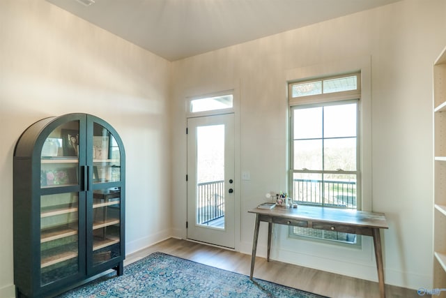 entryway with hardwood / wood-style flooring