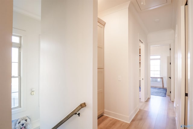 hall with light hardwood / wood-style floors and ornamental molding