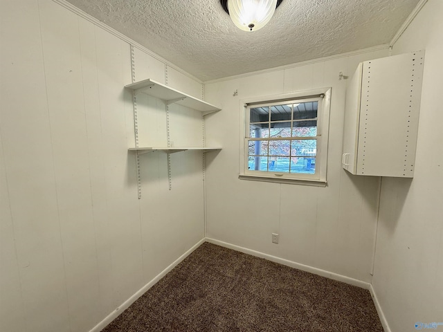 walk in closet featuring carpet