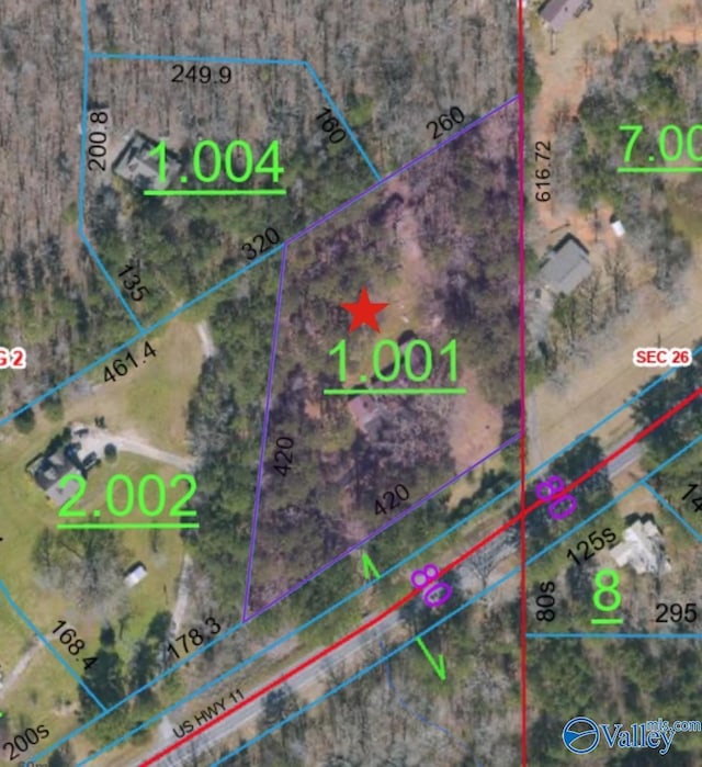 10161 US Highway 11, Springville, AL 35146 - map of property location featuring property boundaries highlighted