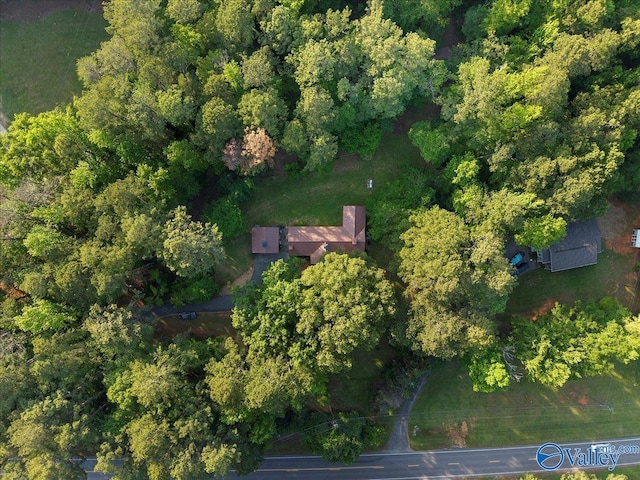 10161 US Highway 11, Springville, AL 35146 - aerial view of property and surrounding area